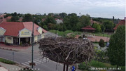 Kép