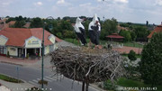 Kép