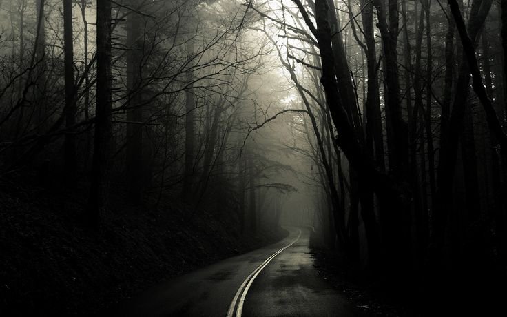 Darkwood game pc download free full steam version natural survival horror adventures