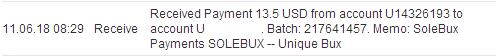 Solebux_payment_11062018.jpg