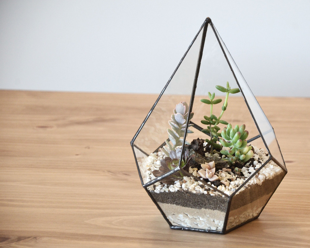 Teardrop Diamond Terrarium