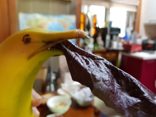 banana2