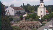 Kép