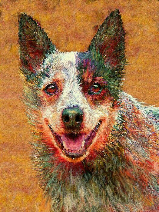 983d93373953531bc91f107fa8fb3414--cattle-dog-dog-art.jpg