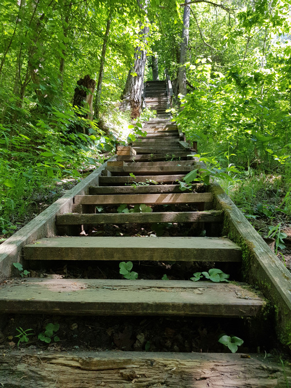 20180527_145145.jpg
