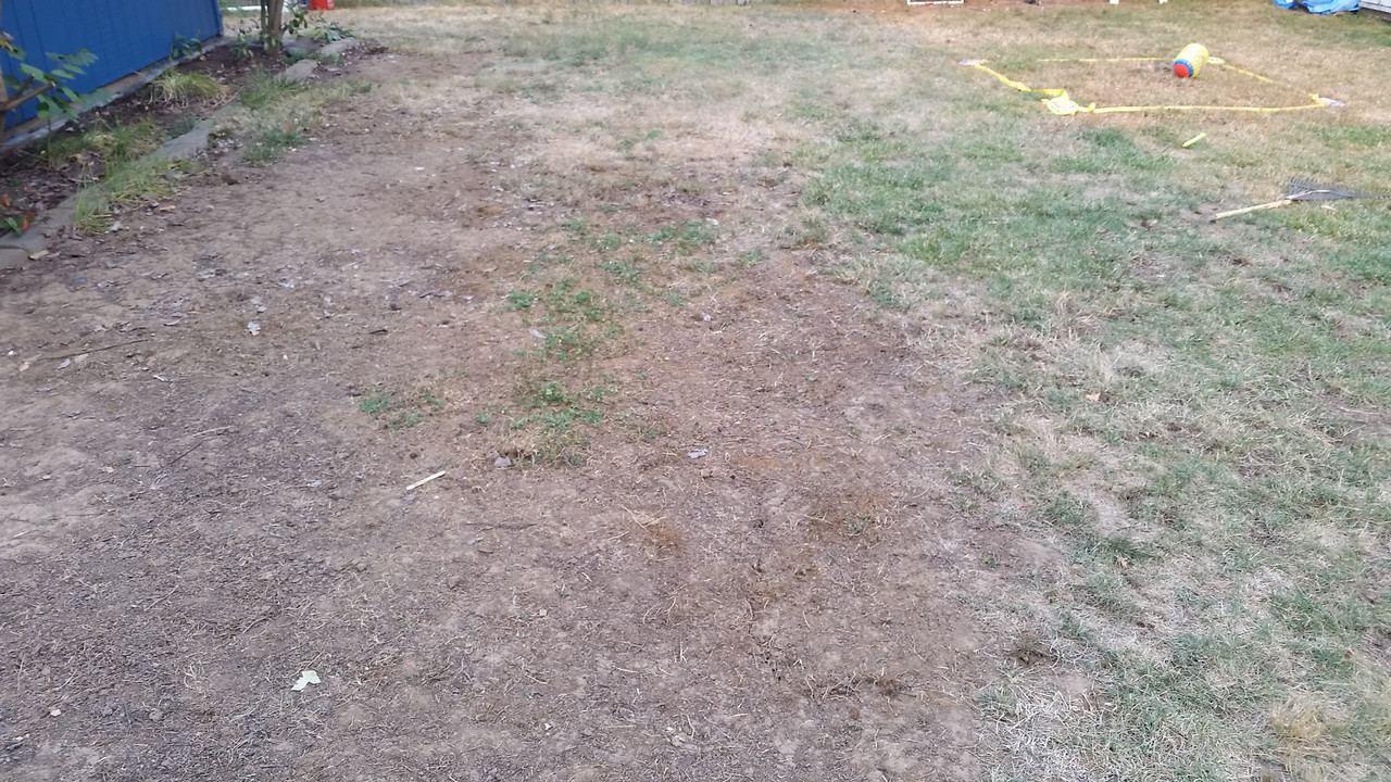 How To Prepare Bare Compacted Soil Dirt For Seeding The Lawn Forum Bare Compacted Soil Dirt For Seeding