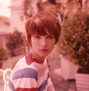 elsa_martinelli_d96