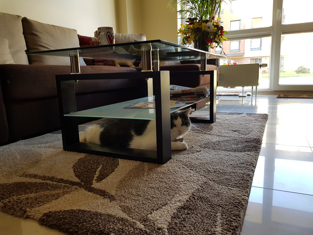 20180526_101021.jpg