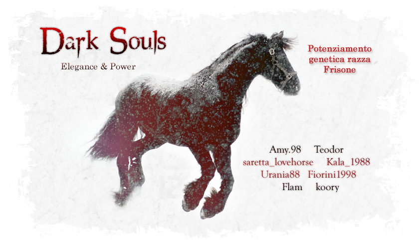 Dark Souls: Associazione Frisoni Howrse