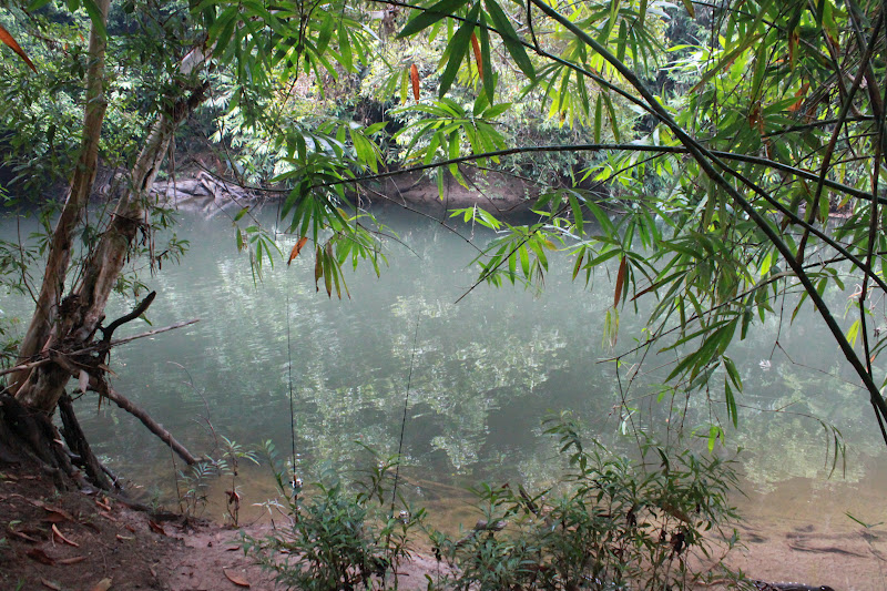 lubuk ikan