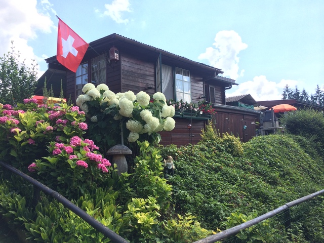 Suiza en coche 9 días, recomendadísimo ir! - Blogs de Suiza - Día 2: Cataratas del Rin, Steim an Rhein, Brunnen, Vitnau, Lucerna, Beatenberg (19)