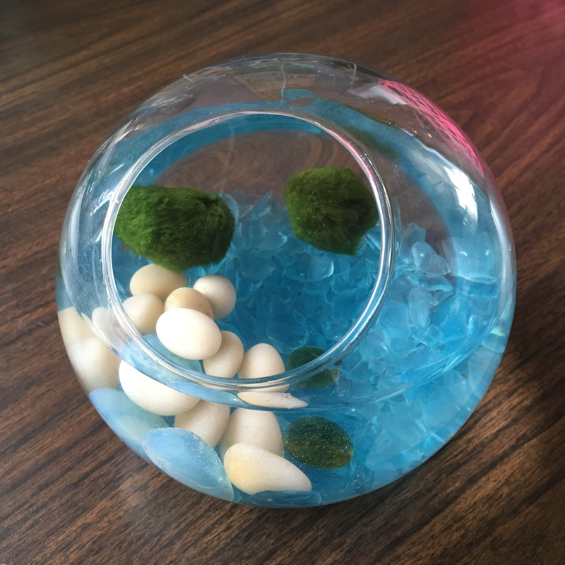 2 green marimo moss balls, frosted blue sea glass vase filler, and white river rock pebbles