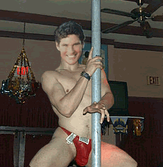 david_20hasselhoff_pole_dance.gif