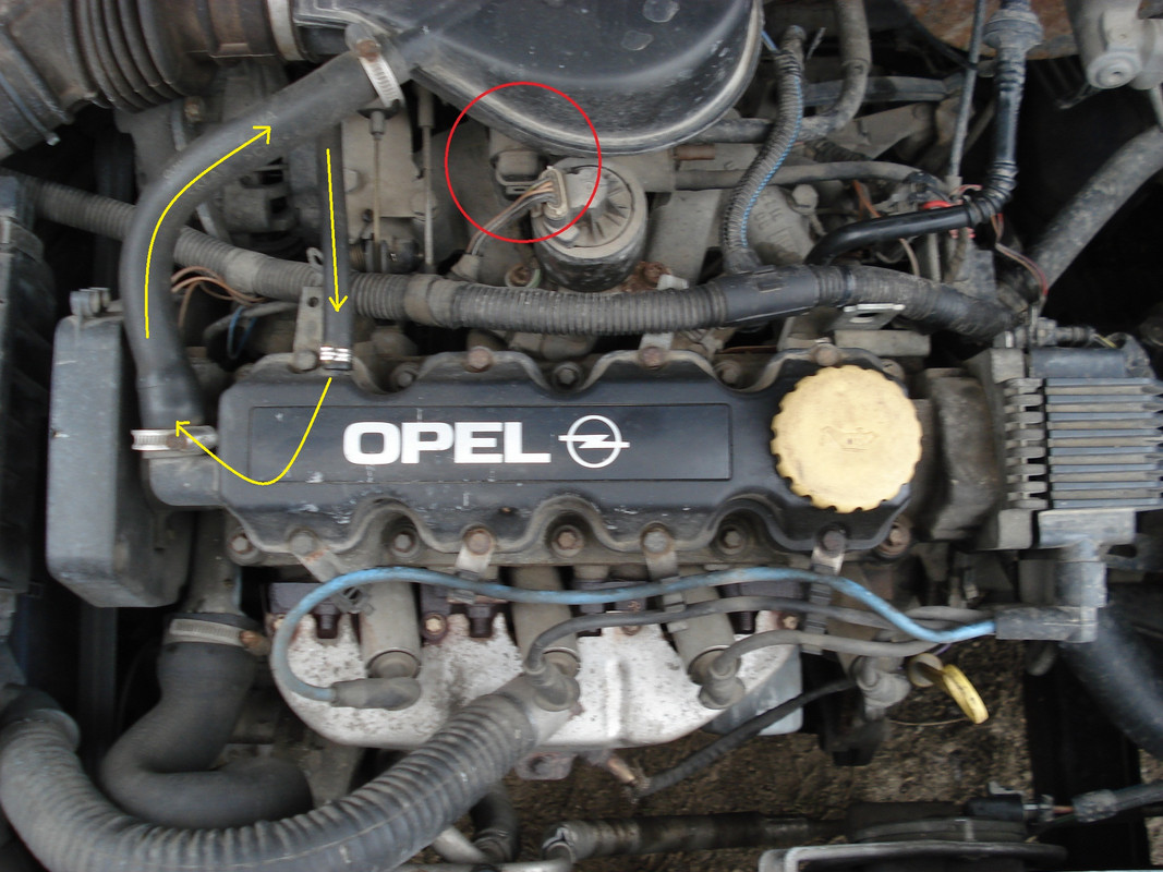 Датчики опель вектра б 1.8. Opel Astra g z16se. Опель мотор 1.6 z16se. Двигатель Opel Astra g 1.6 z16se.