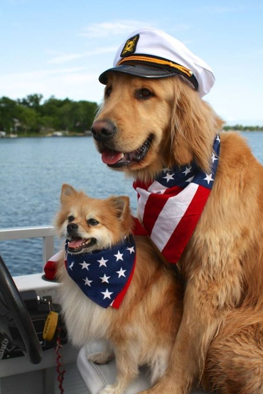 706133270c5a0b261dfd72a9f1ed655e--july-th-happy-fourth-of-july.jpg