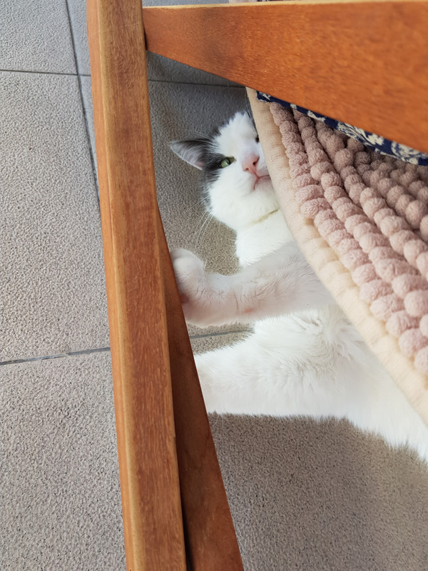 20180528_175950.jpg