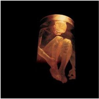 Alice In Chains - Nothing Safe (1999).mp3 - 320 Kbps