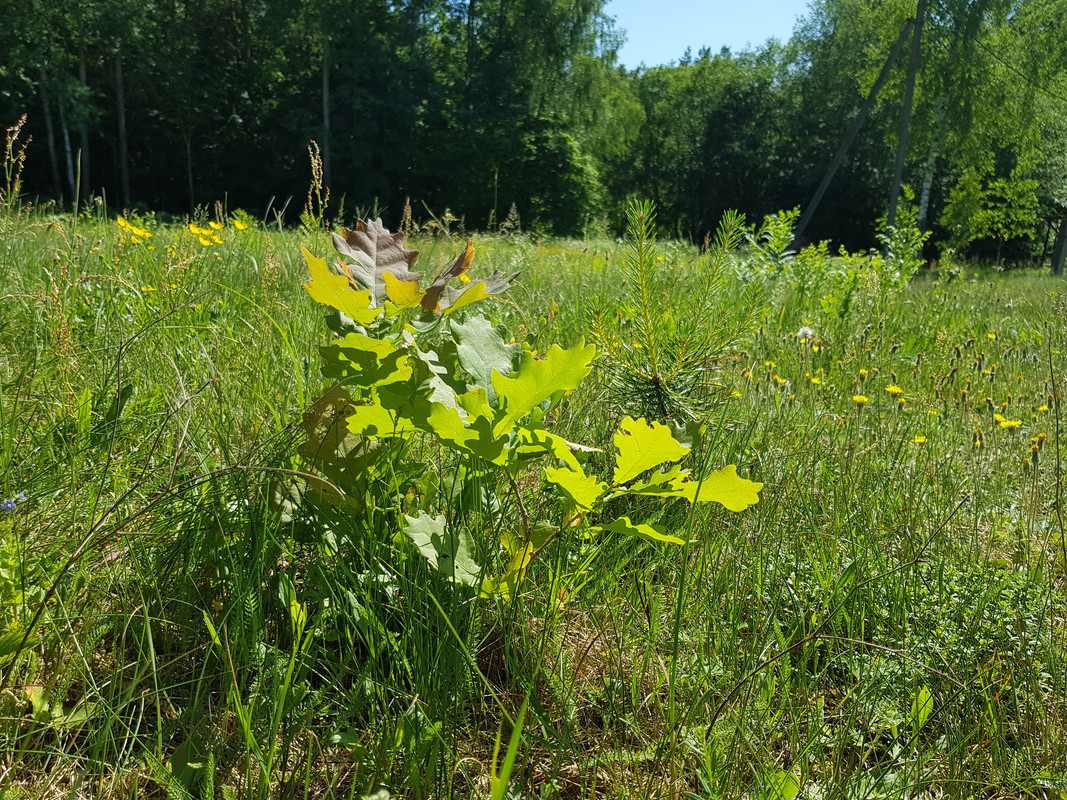 20180527_154331.jpg