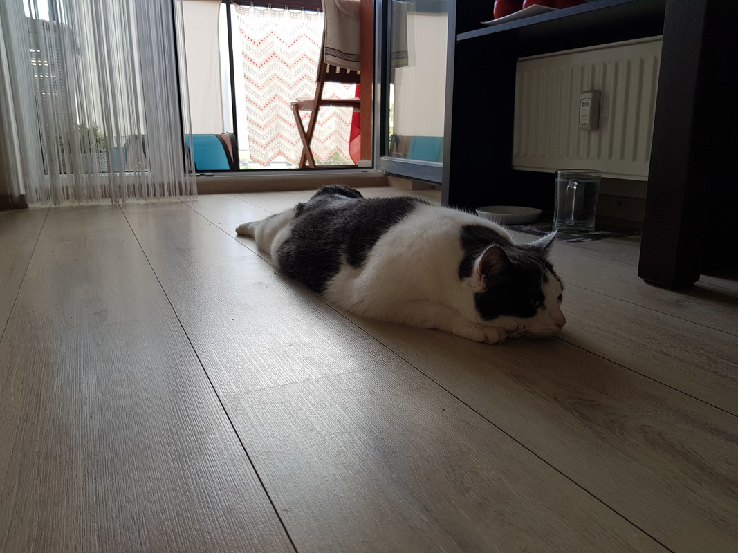 20180528_193236.jpg