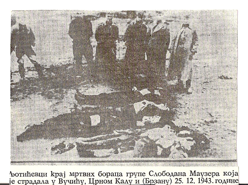 [Слика: myq_6.jpg]