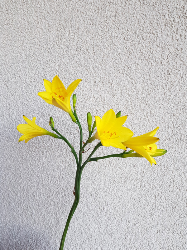 20180531_210803.jpg