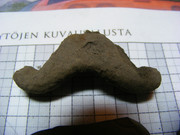 Kuva