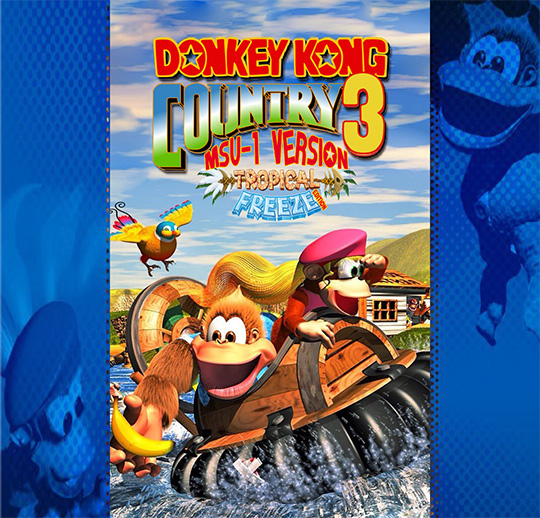 donkey kong country 3 roms