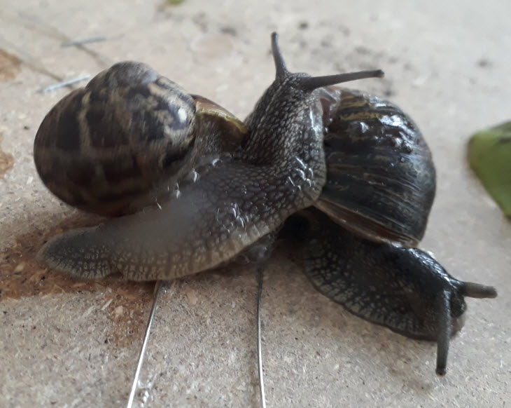 Duo_Taktiek02.jpg