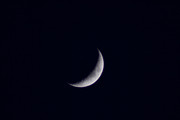 IMG_2215.jpg