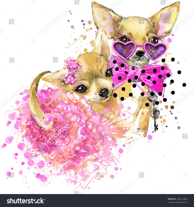 stock-photo-cute-sweet-dog-t-shirt-graphics-funny-dog-illustrati.jpg