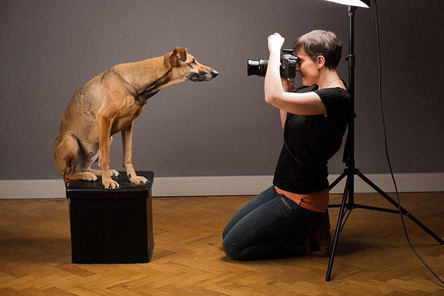 Behind-the-scenes.jpg