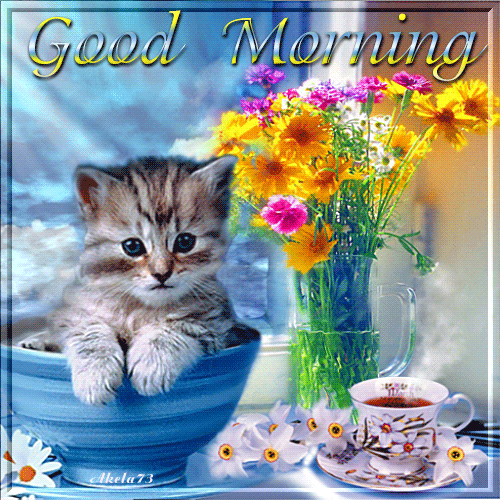 231746-_Cute-_Good-_Morning-_Cat-_Gif