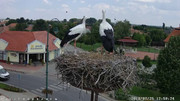 Kép