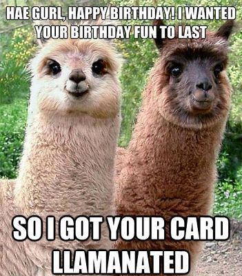 17-best-funny-birthday-quotes-on-pinterest-funny-birthday-humor-.jpg