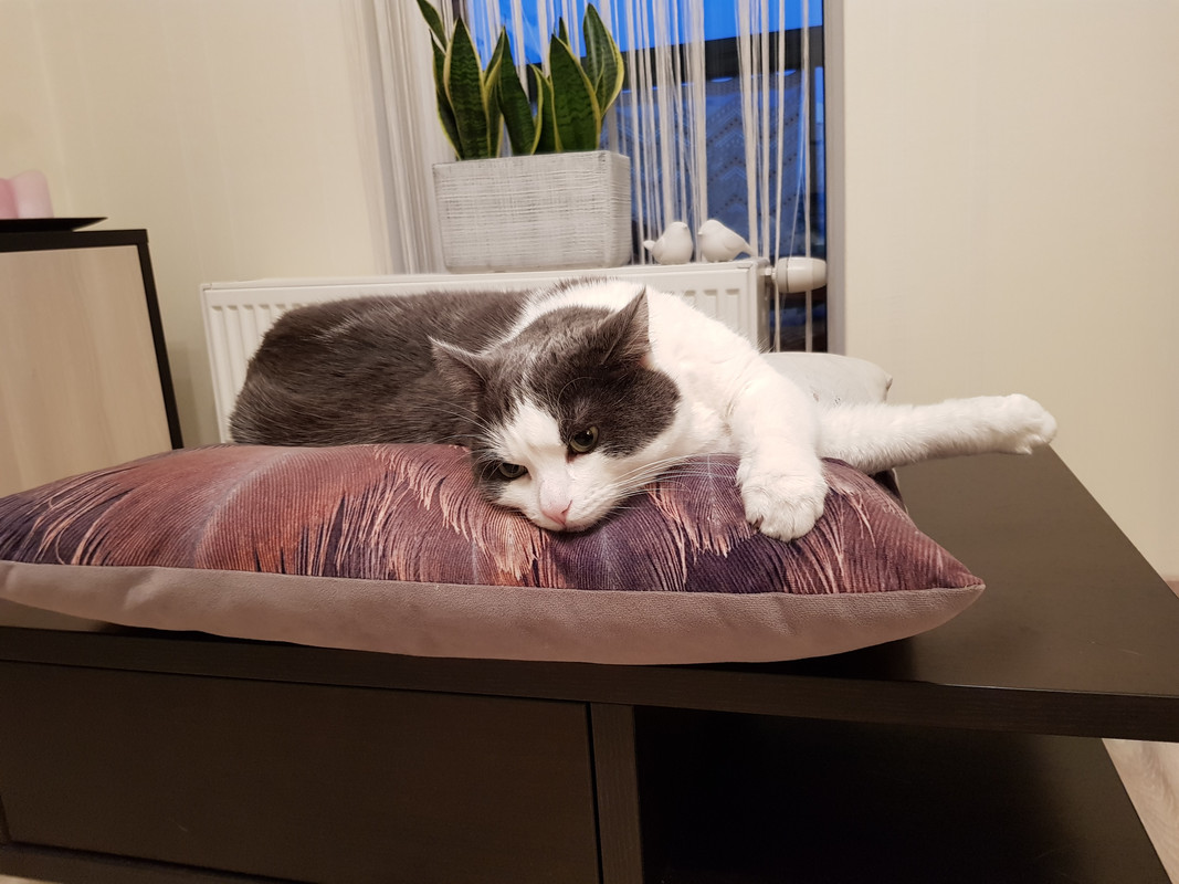 20180529_220918.jpg