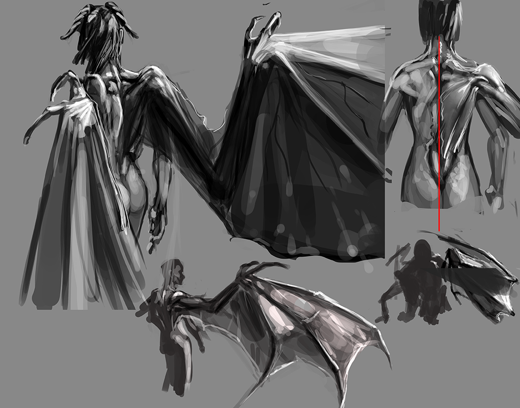Winged_Anatomy_Study_by_Jack-_Kaiser_on_Deviant_Art.png