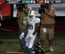 Dolphins1.gif