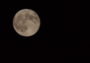 IMG_2434.jpg