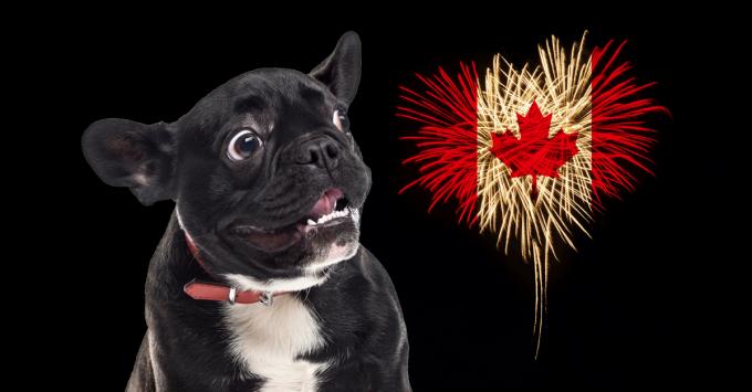 2017-06-27-canadadayfireworkssmwide.jpg