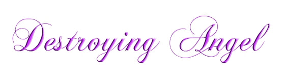 Posted Image