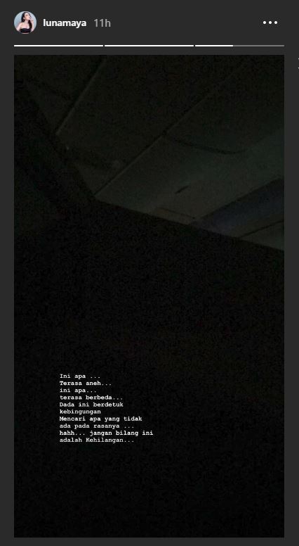 (Instastory Luna Maya)
