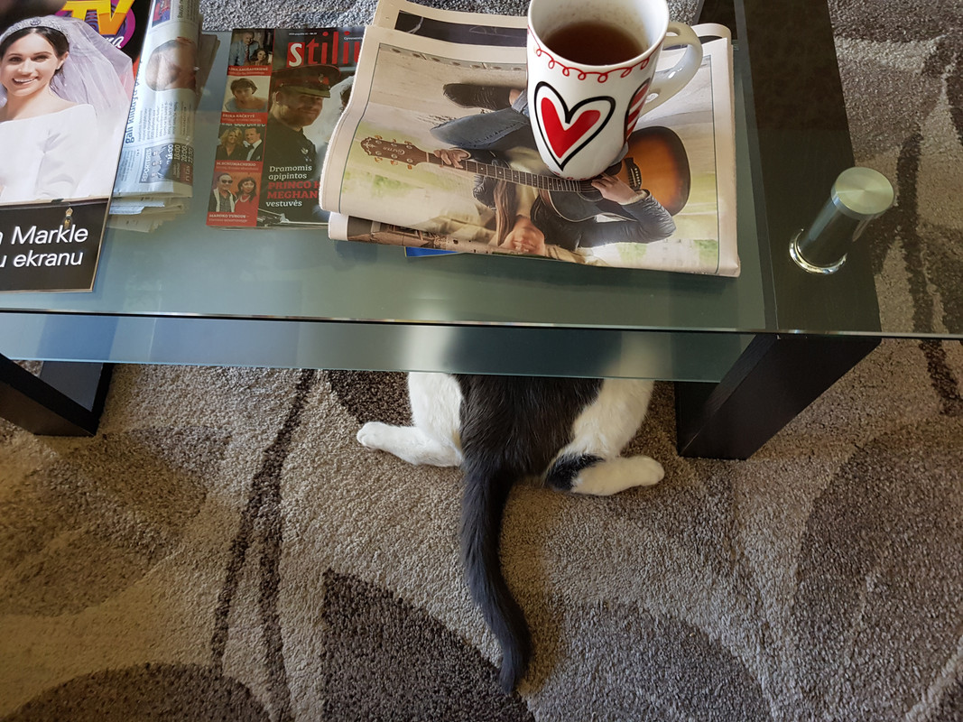 20180526_101039_0.jpg