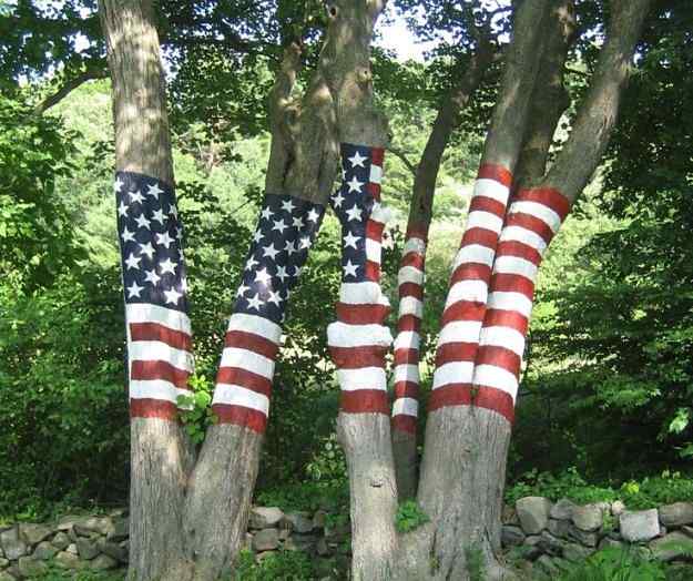 4th-_Of-_July-_Decorations008.jpg