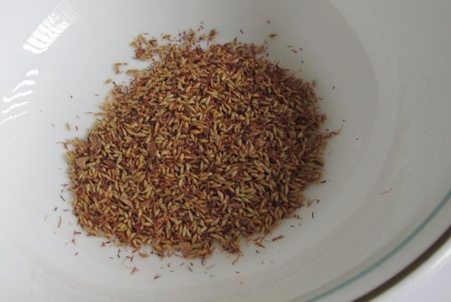[Image: aiyu_seeds.jpg]